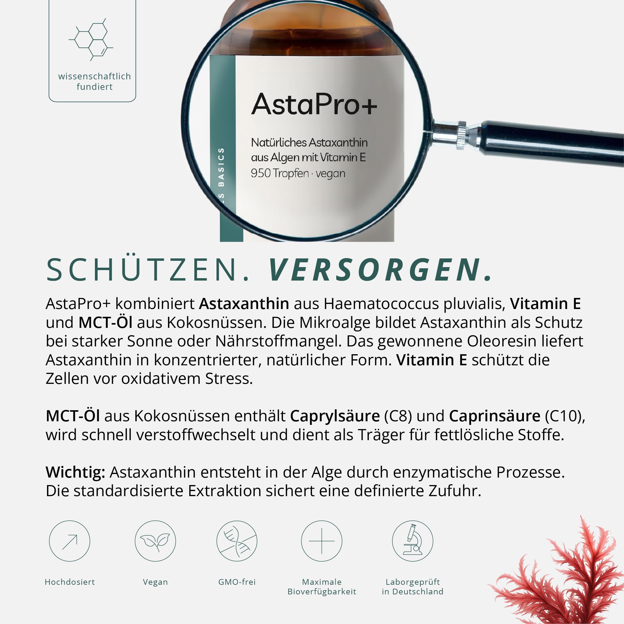 AstaPro+ hochdosiertes Astaxanthin Öl - 8 mg Astaxanthin + 8 mg Vitamin E pro Tag - 2x30ml für 94 Tage - 100% natürlicher Antioxidativer Zellschutz - Vegan & Ohne Zusätze Laborgeprüft