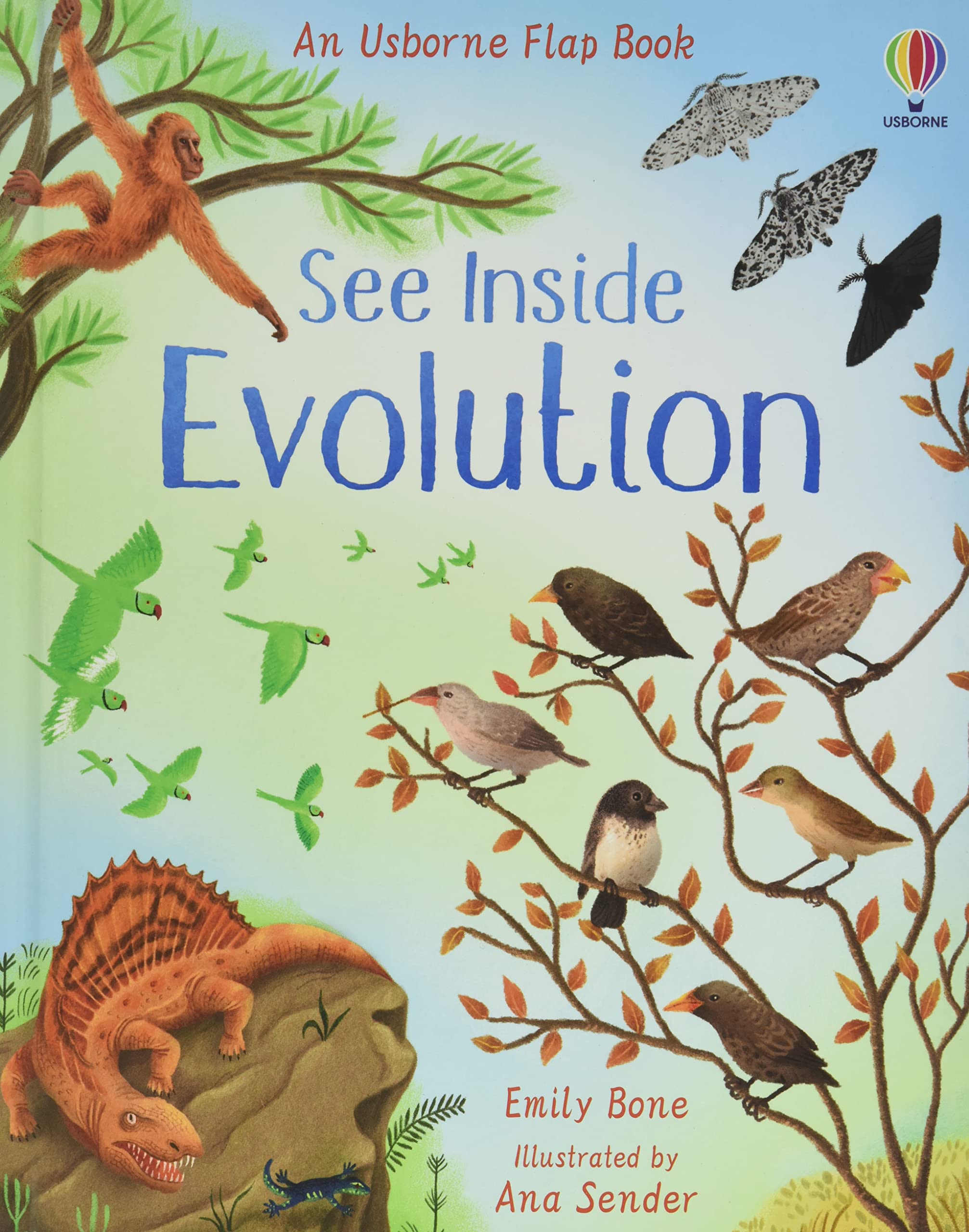 Usborne See Inside Evolution