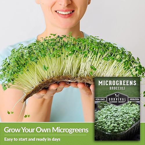 Miniatura 4 de 5 paquetes de semillas de microgreens de brócoli para plantar y cultivar  Planta plantas de microvegetales de hoja verde en interiores  Cultiva tu