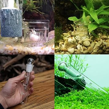 Planaria Trap 3 Hole Glass Planaria Trap 8 Holes Acrylic Trap Clear Glass Planaria Trap Snail Trap Planar Trap Glass Cane Leech Catcher Trap Tubes Catcher for Fish Tank Aquarium Pack of