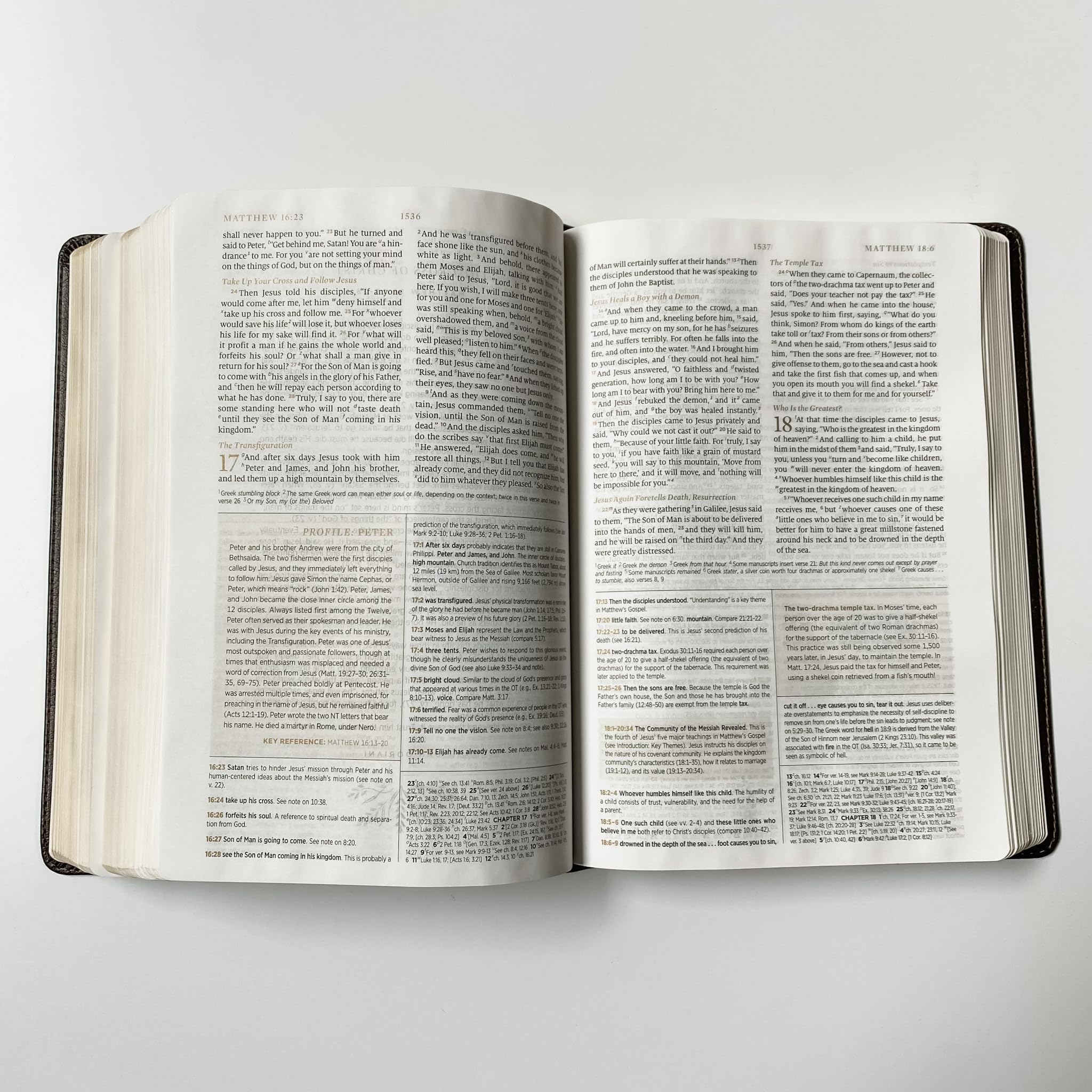 ESV Women's Study Bible, I Will Sing of the Goodness of God, Hand Lettered and Laser Engraved, Personalized Gift, Custom Name Engraving Available - Image 6