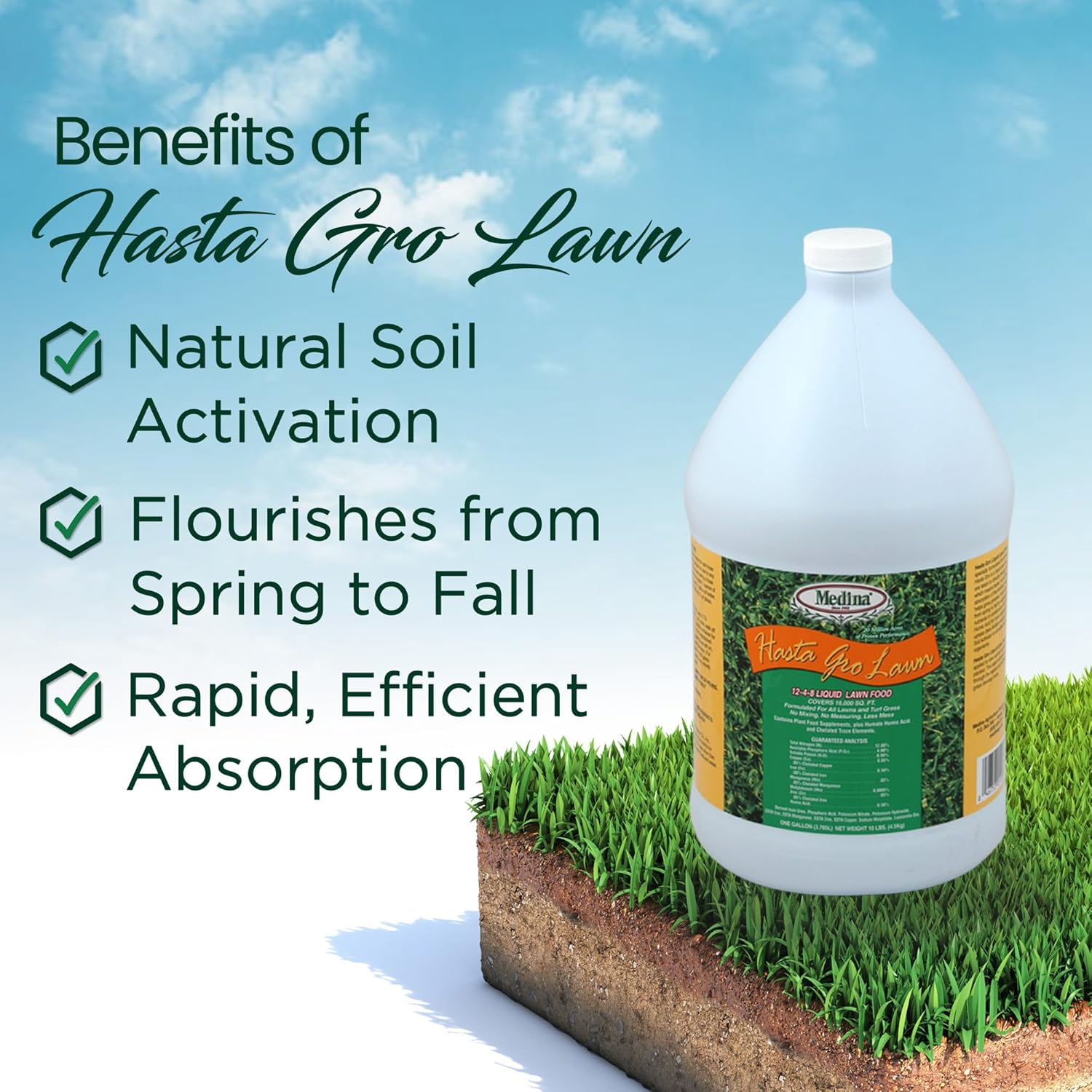 Medina HastaGro Liquid Lawn Fertilizer - 12-4-8 Liquid Fertilizer for Lawns, Ready to Spray Grass Fertilizer for Lawn Care, Lawn Food for Vibrant Green Lawns, 1 Gallon - Treats Up to 16000 Sq Ft