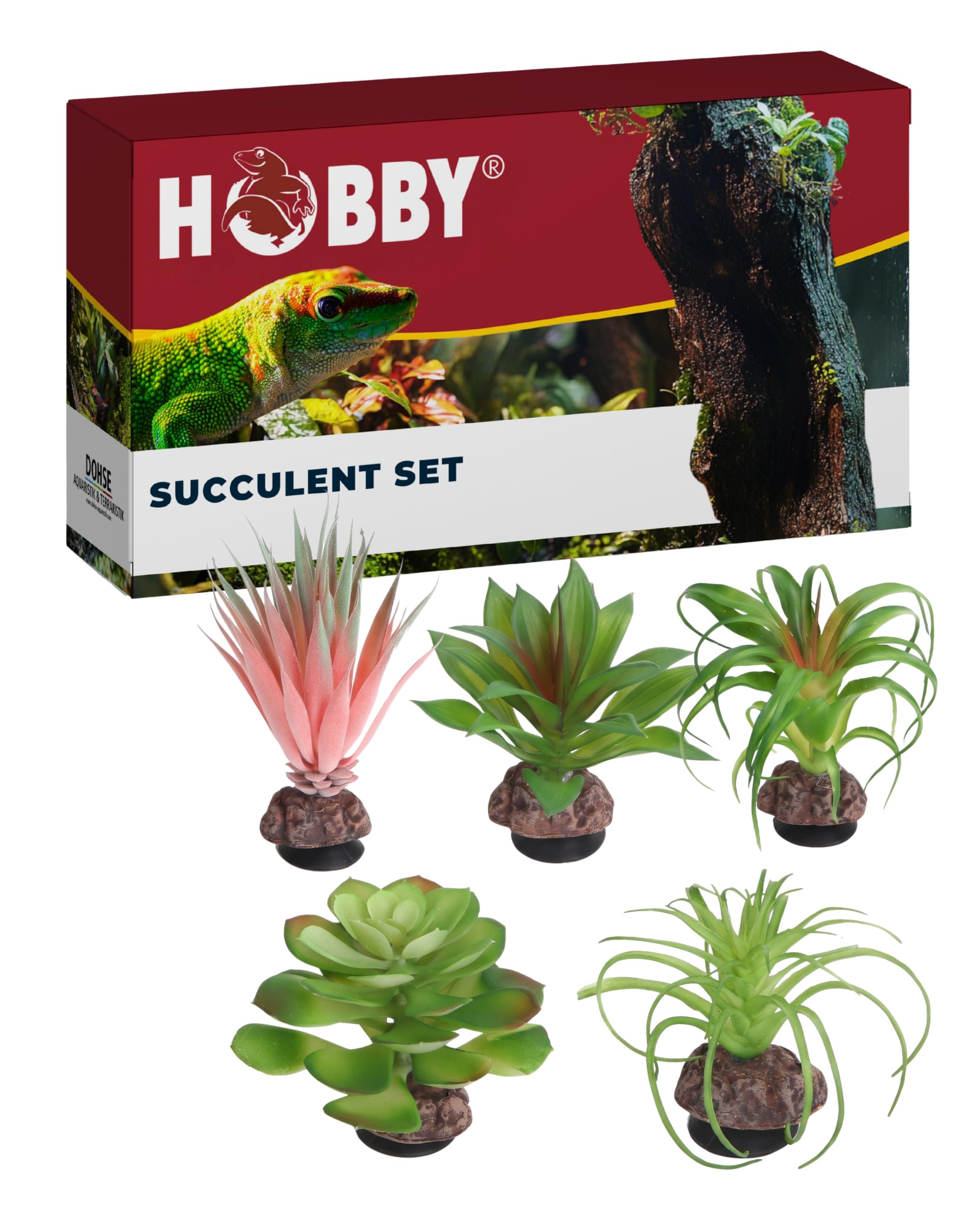 Hobby Terra Succulent Set - Sukkulenten