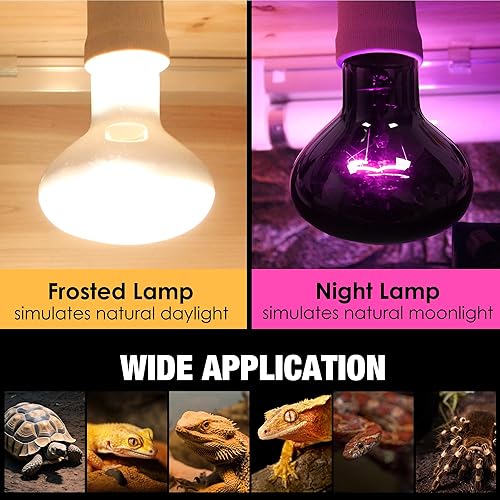 Reptile Heat Lamp Bulbs 2-Pack - Daylight & Nightlight Combo for Terrarium - Basking Bulb for Bearded Dragons, Turtles, Snakes & Lizards - Dual Day/Night Cycle - E26 Base 110V