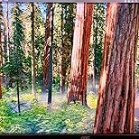 Imagen del cliente, haz clic para abrir la reseña del cliente