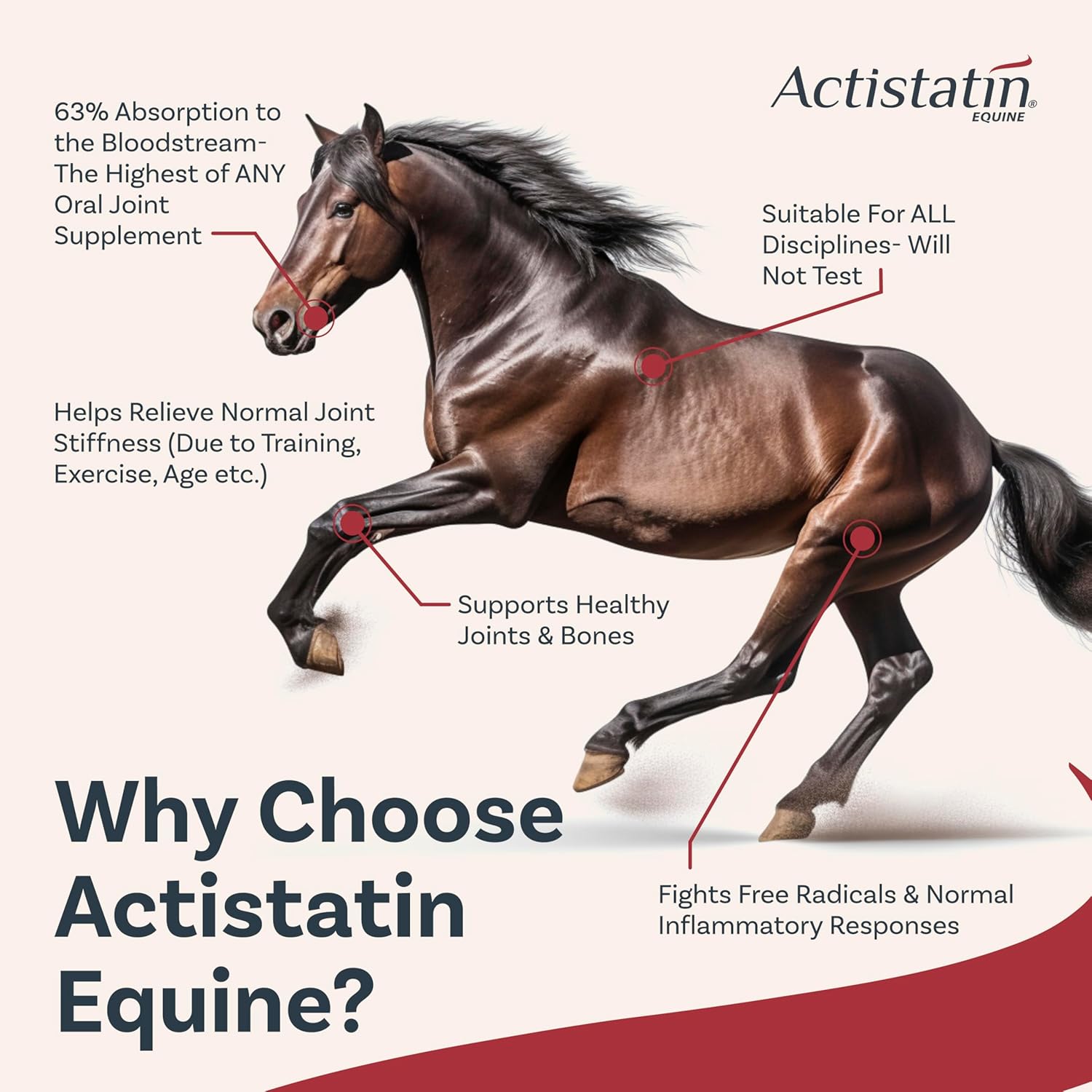 Actistatin Equine Powder, 2.05 lbs – Clinically-Proven Veterinary Joint Support Supplement for Horses: Glucosamine, Chondroitin, Manganese – Supports Joints, Cartilage, Soft Tissue & Ligaments