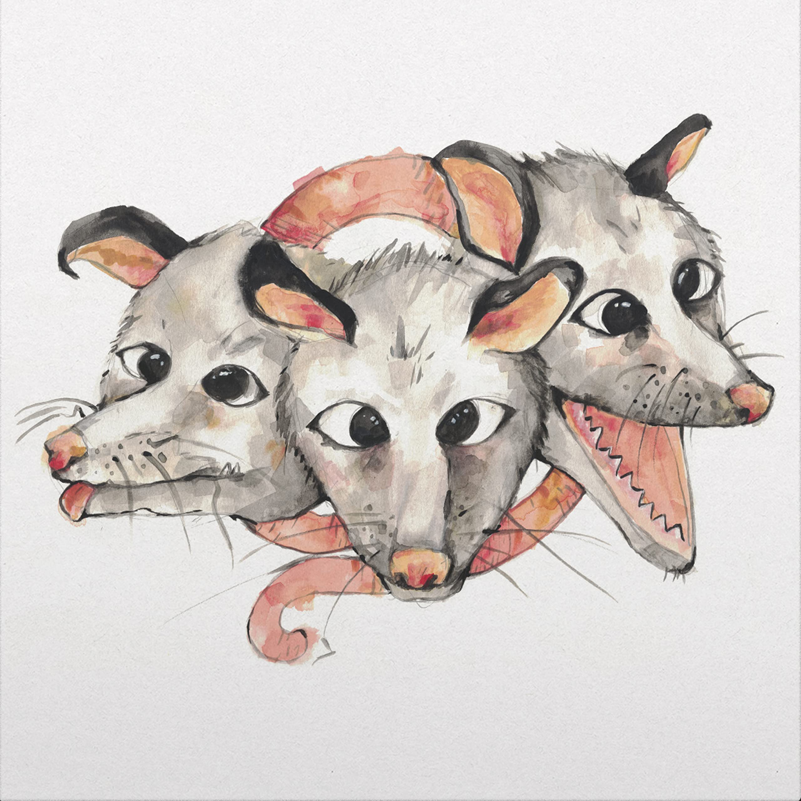 Opossums [VINYL]