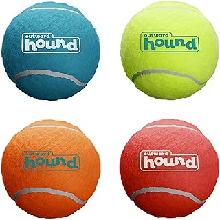 Outward Squeaky Dog Fetch Balls