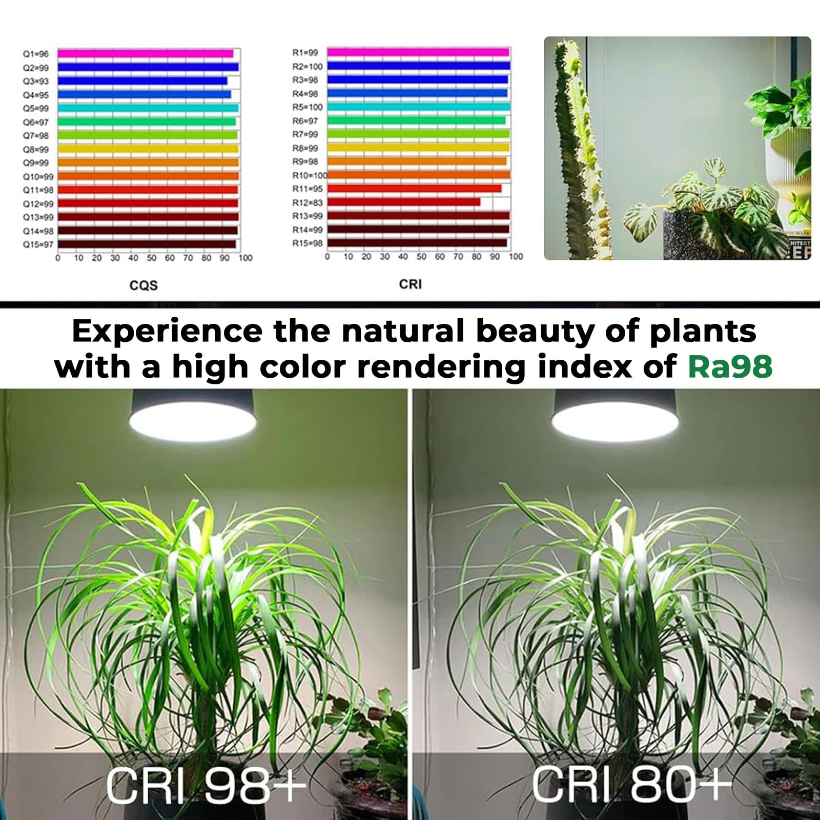 Milpoel 20W LED Grow Light for Indoor Plants Full Spectrum E27 Plant Grow Light Bulb for Seedlings Succulents Flowers Hydroponic (Black - Image 4