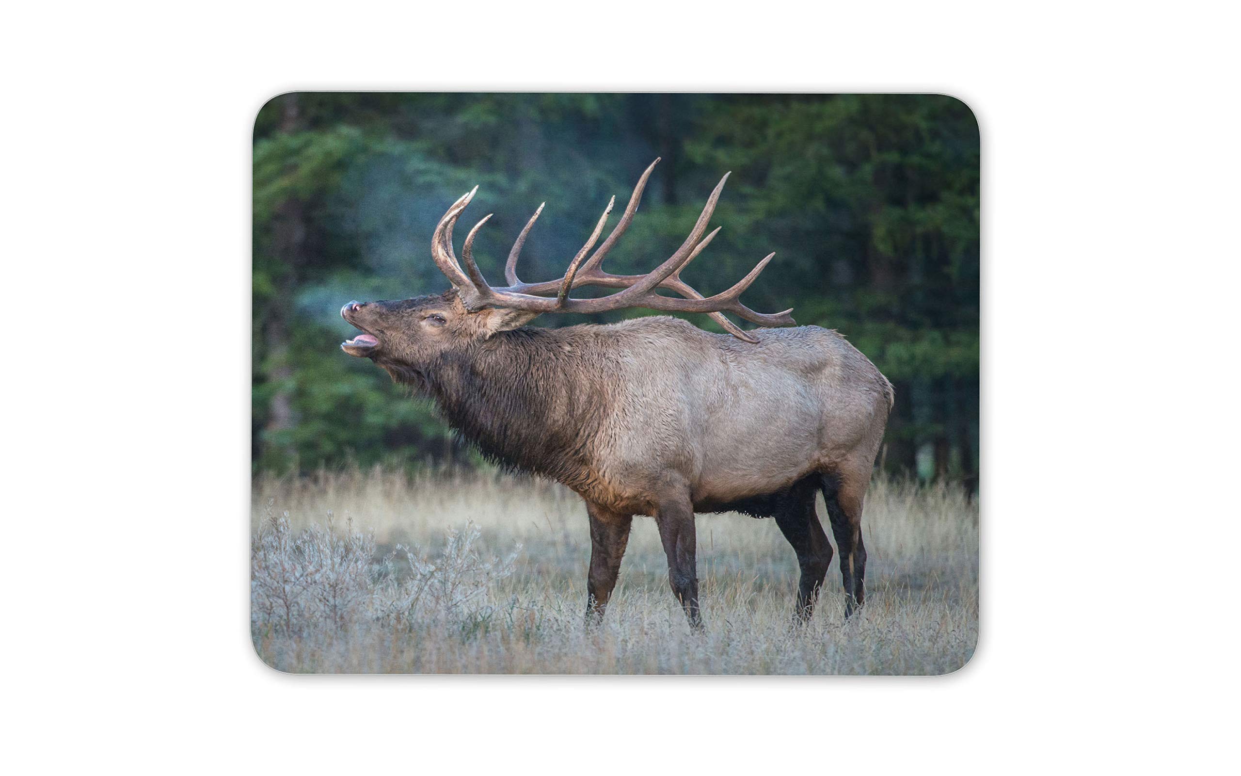 Bull Elk Mouse Mat Pad - Deer North America Animal Wild Fun Computer #16419