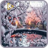 4K 桜 - 日本の桜庭園