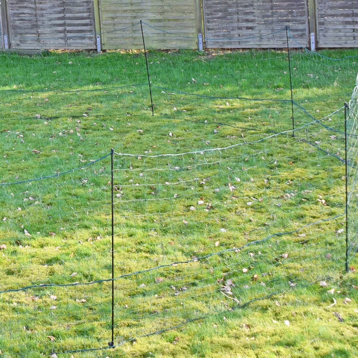 VOSS.farming Geflügelnetz 25m, 125cm Hühnerzaun, Hühnernetz, Geflügelzaun, Hundenetz, Hundezaun, 11 Pfähle 2 Spitzen grün, ohne Strom