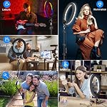 STALLY 10.2" Ring Light with Stand, 75" Tall Ring Light with Phone Holder and Wireless Remote, 12 Dimming Levels, 32 Color Modes Selfie Light Tripod for iPhone, Live Stream, Makeup, YouTube, TikTok