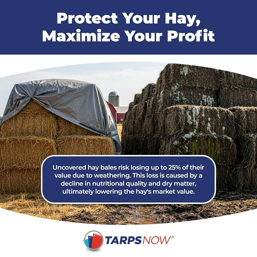 EVERNEW Tarp TC 4 285 × 400 cm EVERNEW Tarp TC 4 285 × 400 cm EVERNEW Tarp TC 4 285 × 400 cm