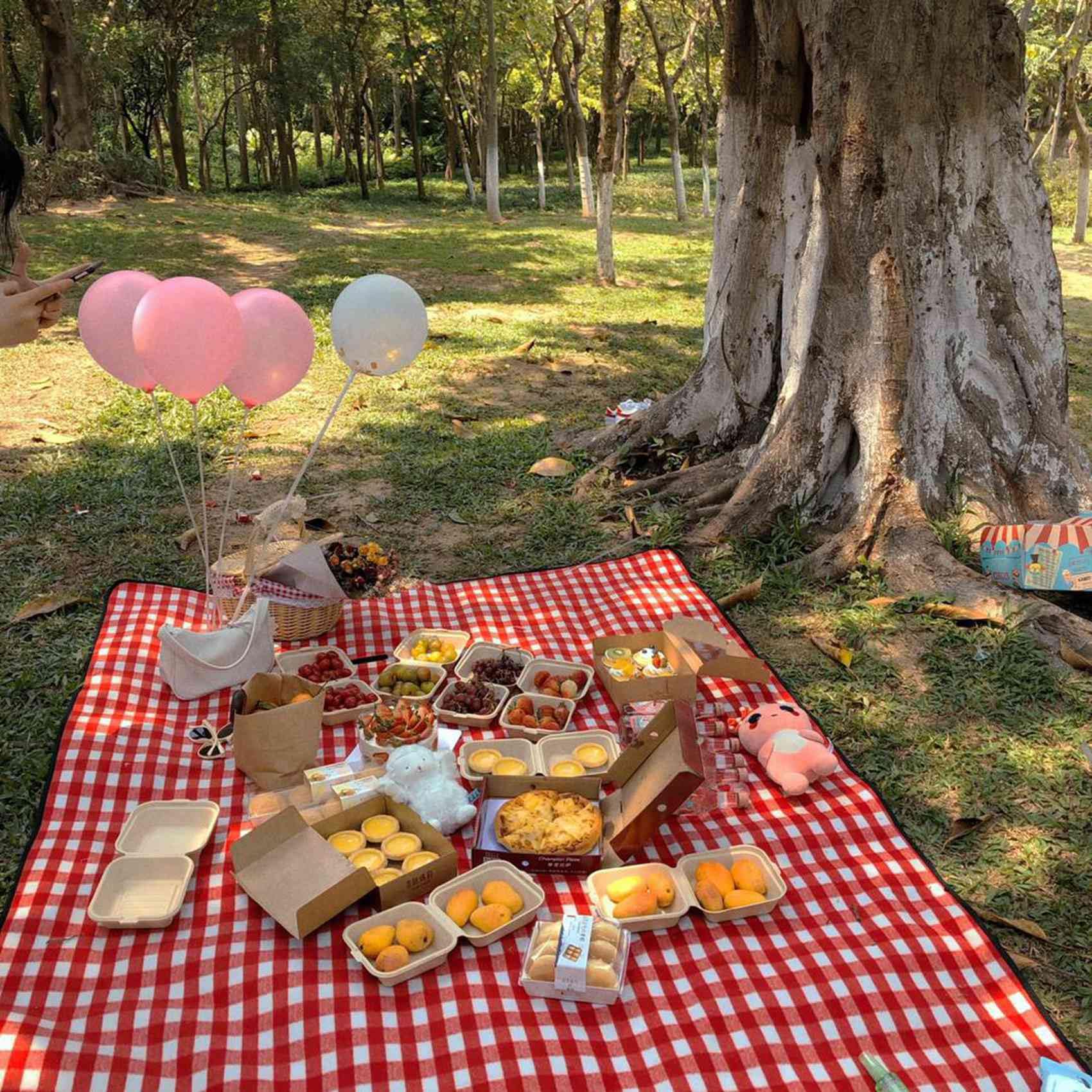 Lot de 6 paniers de pique-nique en osier avec couvercle et doublure pour pique-niques, fêtes et barbecues