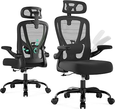 Office Chair Ergonomic Desk Chair with 3D Lumbar Support & Headrest
