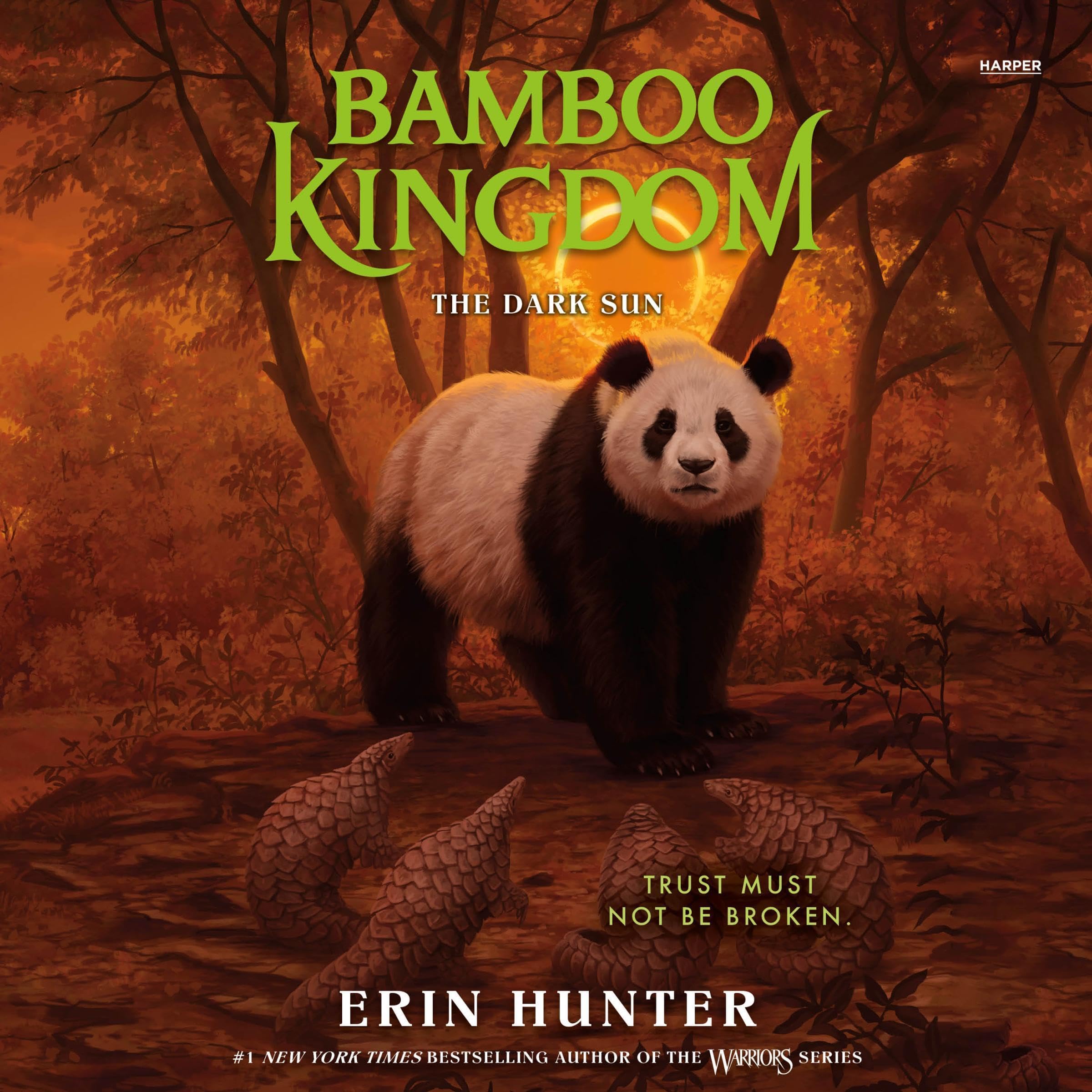 Cover art for Bamboo Kingdom #4: The Dark Sun