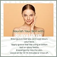 Vista 7 de Hojas de guayaba secas de 2.6 onzas, hojas de guayaba secas, hoja de guayaba seca natural, té de hojas sueltas, sin OMG, sin aditivos, sin cafeína.