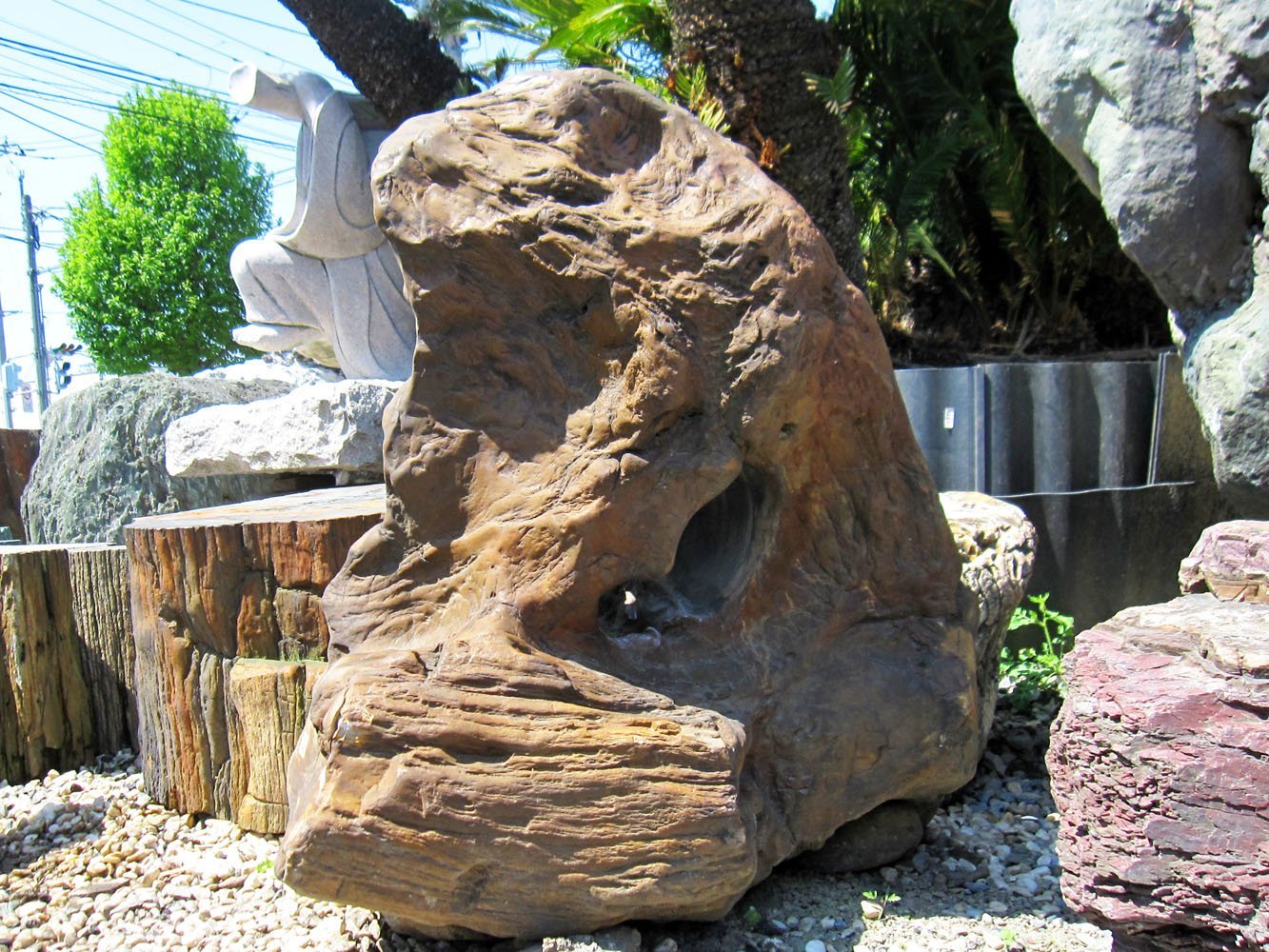 珪化木 木の化石 化石 2個セット 置物 木化石（珪化木）031の庭石の販売なら増樹です。