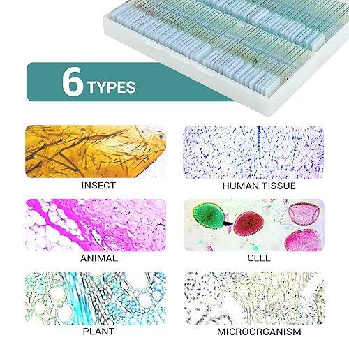 Miniatura 2 de 100 portaobjetos de microscopio con especímenes portaobjetos de microscopio preparados para niños diapositivas preparadas para microscopio muestra