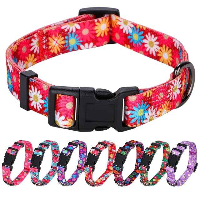Rhea Rose Collar para perrita con bonito collar de margaritas rosas