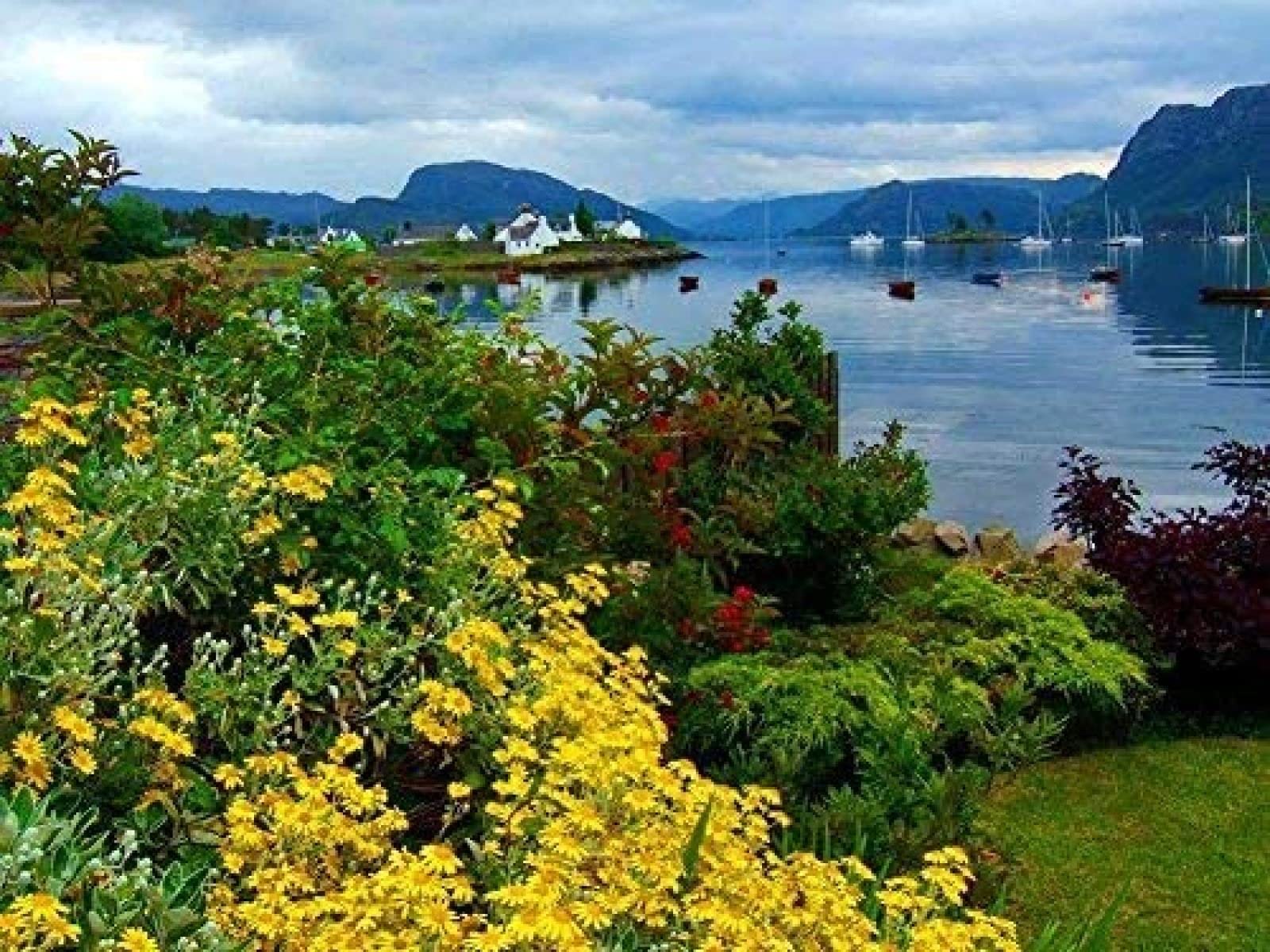 1000 Piece Wooden Jigsaw Puzzle Scottish Landscape Large Puzzle Game For Adults And Teenagers 38x26CM