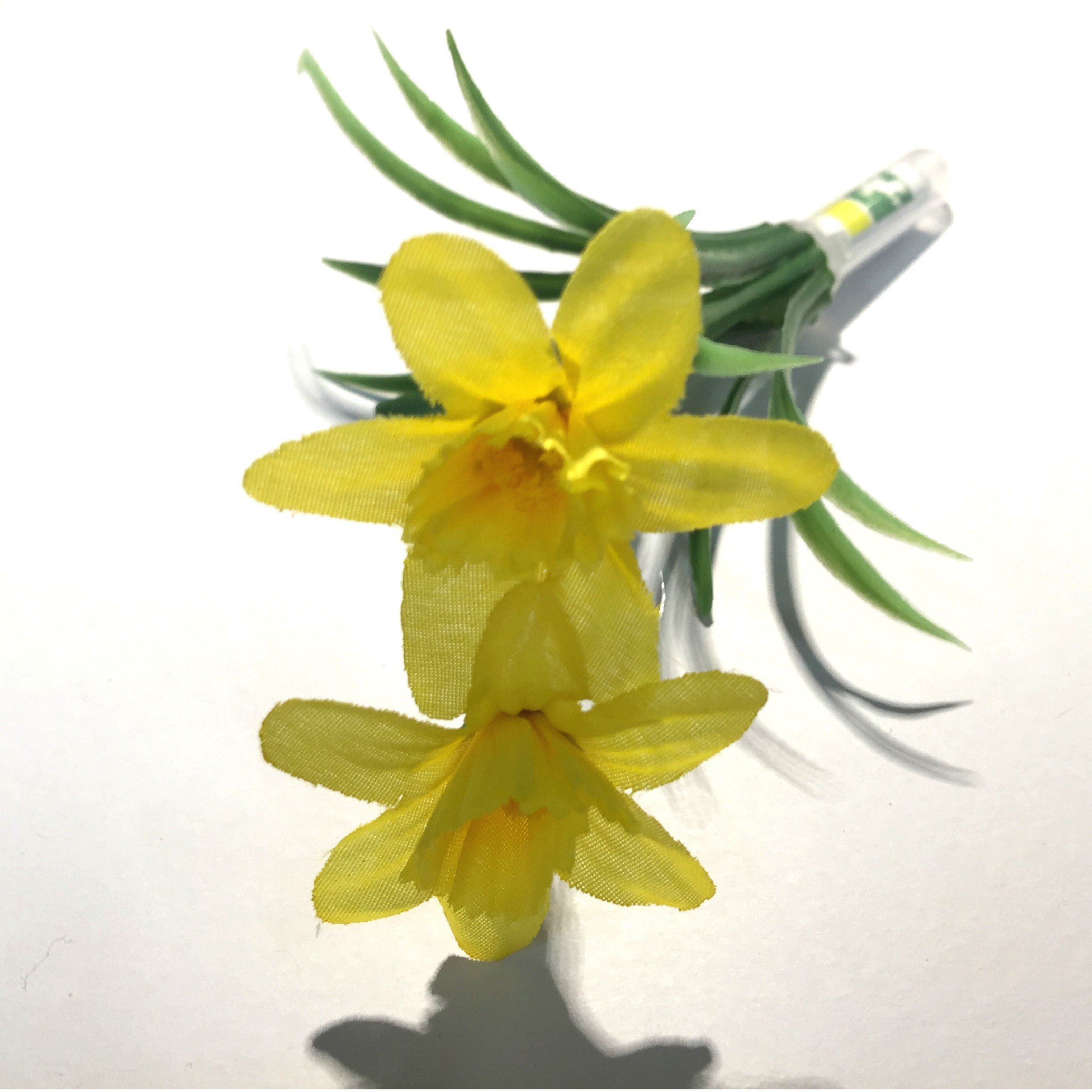 AllCachedUp Sneaky Woodland Flower Stealth Geocache Container Daisy, Crocus or Daffodil (Daffodil)
