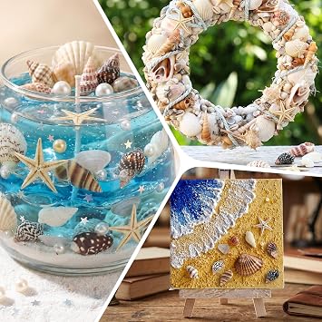 525+ Pcs Mini Shells, 12 Kinds Mixed Starfish Sea Shells for Crafting with Storage Box, 0.5-3cm Natural Seashells, DIY Shell Beads for Beach Theme Party, Wedding, Fish Tank Decorations