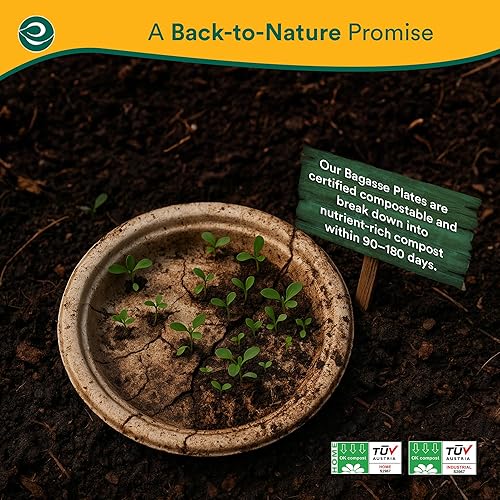 Miniatura 4 de ECO SOUL Platos de papel compostables de 6 pulgadas (500 unidades) platos para postre, resistentes, ecológicos, bagazo de caña de azúcar, platos