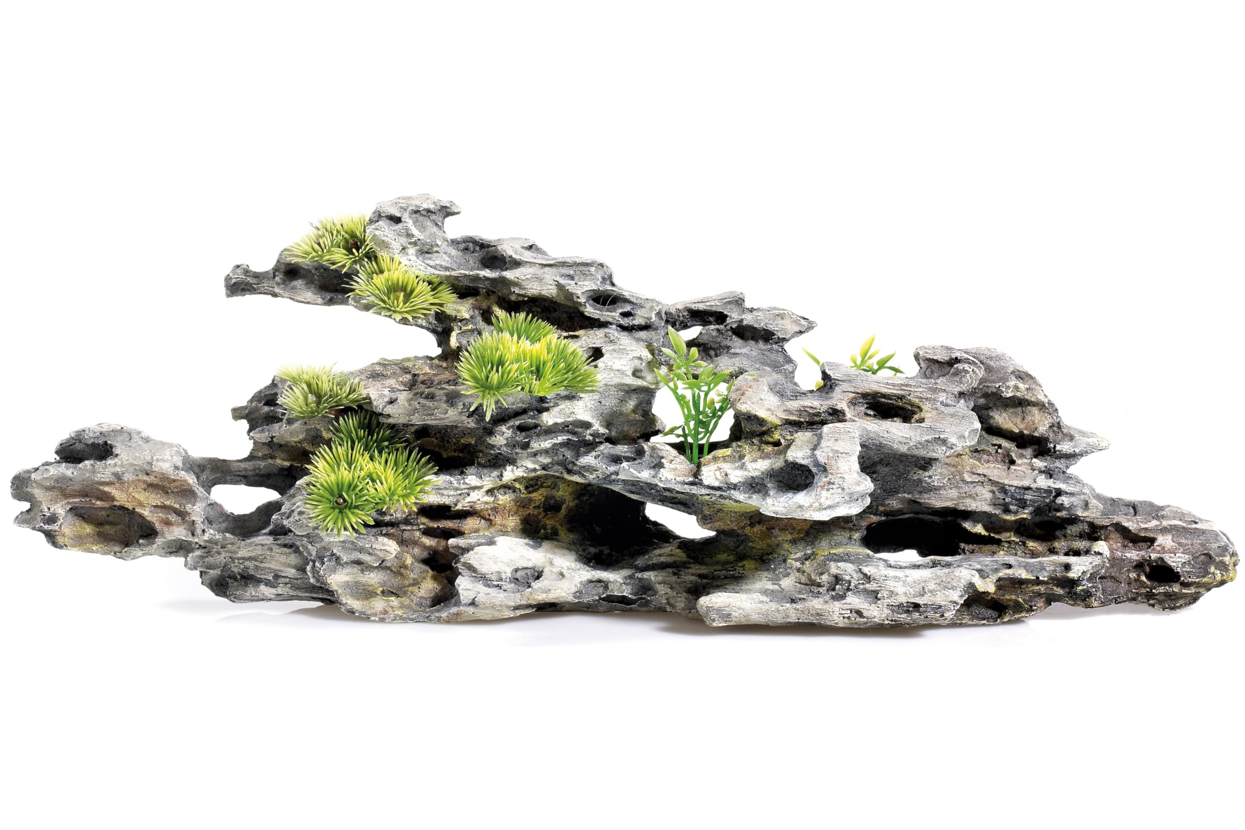 Classic Ornament - Driftwood & Plants