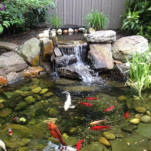 Miniatura 8 de NFESOLAR Bomba de agua sumergible de 1200 GPH, bomba sumergible ultra silenciosa con protección contra quemaduras en seco, elevación de 11 pies de