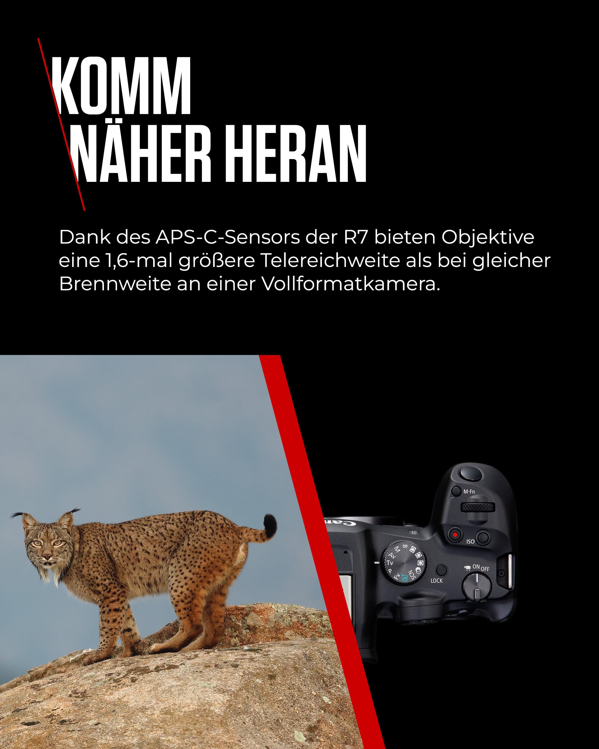 Canon EOS R7 Systemkamera mit RF-S 18–150mm Objektiv – 32,5 MP APS-C CMOS-Sensor – Dual Pixel CMOS AF II, integrierte Bildkombination, UVC/UAC-kompatibel - Perfekt, um Naturmomente einzufangen