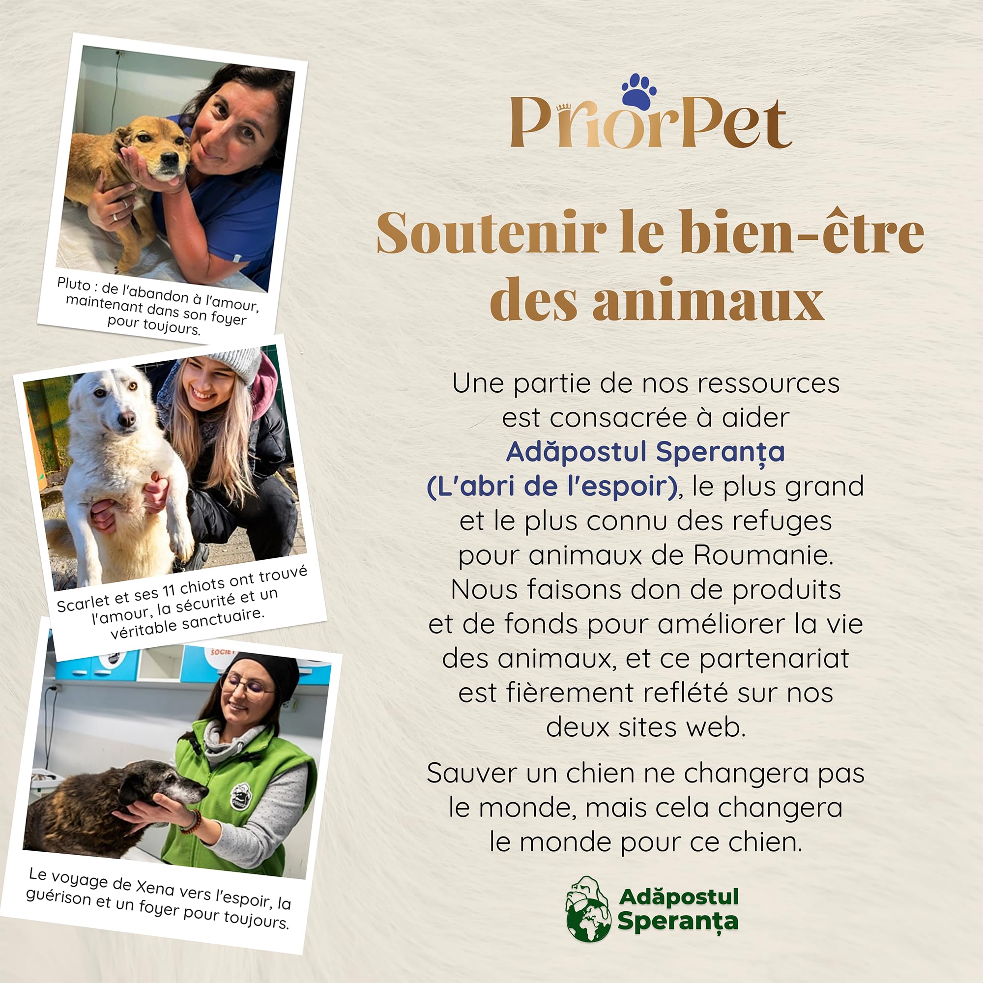 Rampe pour Chien Voiture SUV Antidérapante Capacité 90kg Télescopique Noir