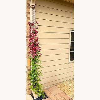 Downspout Trellis 9 ft x 4 in Plant Support That Anchors Wide Climbing Plants, Mounts to Rain Gutters, HDPE Mesh with Mounting Hardware for Clematis and Vines, Scroll Trellis 1-Pack
