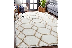 Geometric Boho Area Rug: Perfect for a Soft and Stylish Living Room