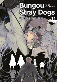 Bungou Stray Dogs 11