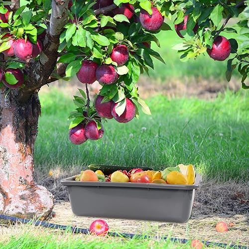 Miniatura 6 de Bandejas grandes de plástico de 32 litros, caja de bañera de autobús comercial, juego de 4, gris