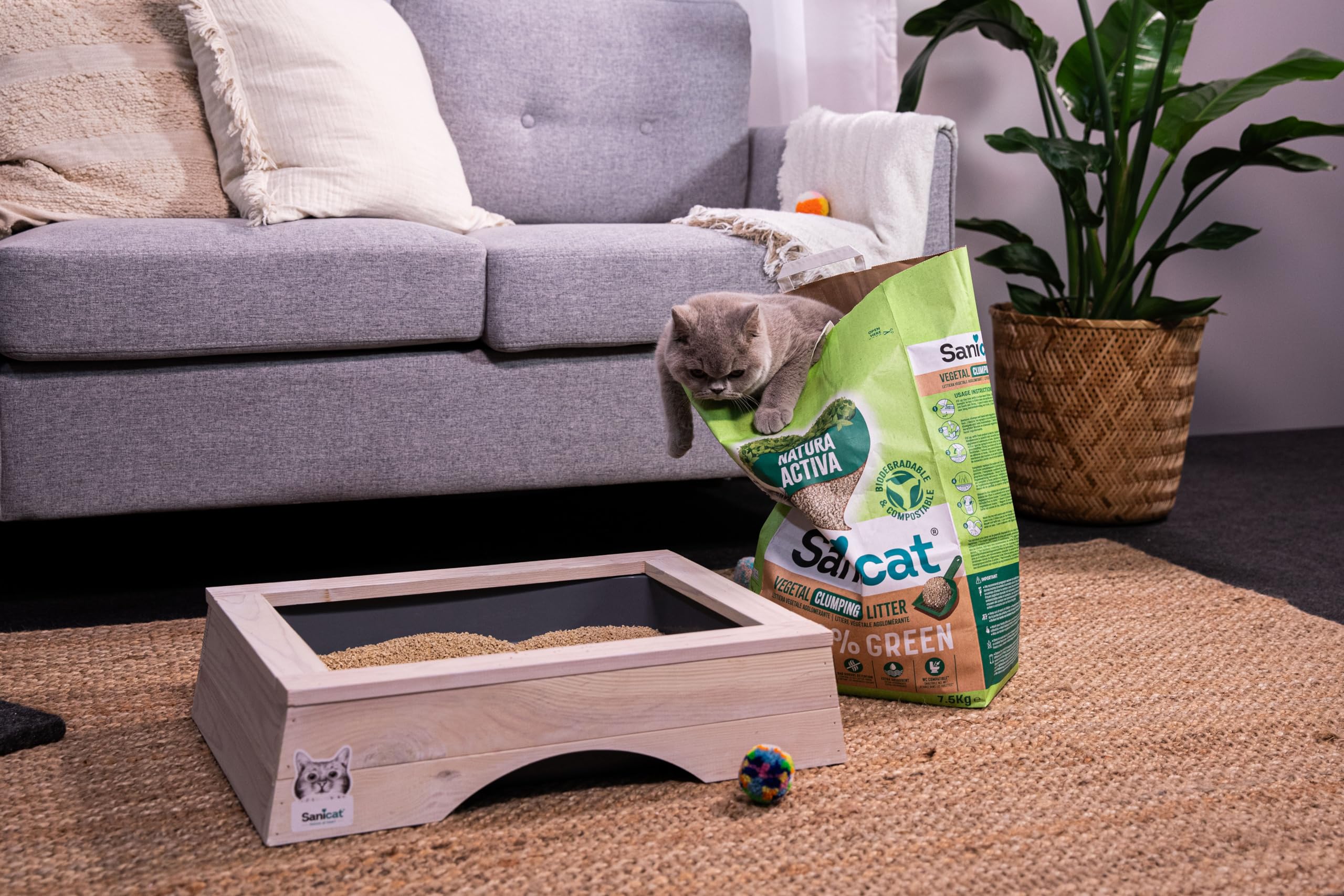 Sanicat - Litière Végétale Agglomérante Active Natura 100 % Green, Haute absorption et formation d'agglomérats de manière naturelle, Produit recyclé, 4 x 2.5 kg