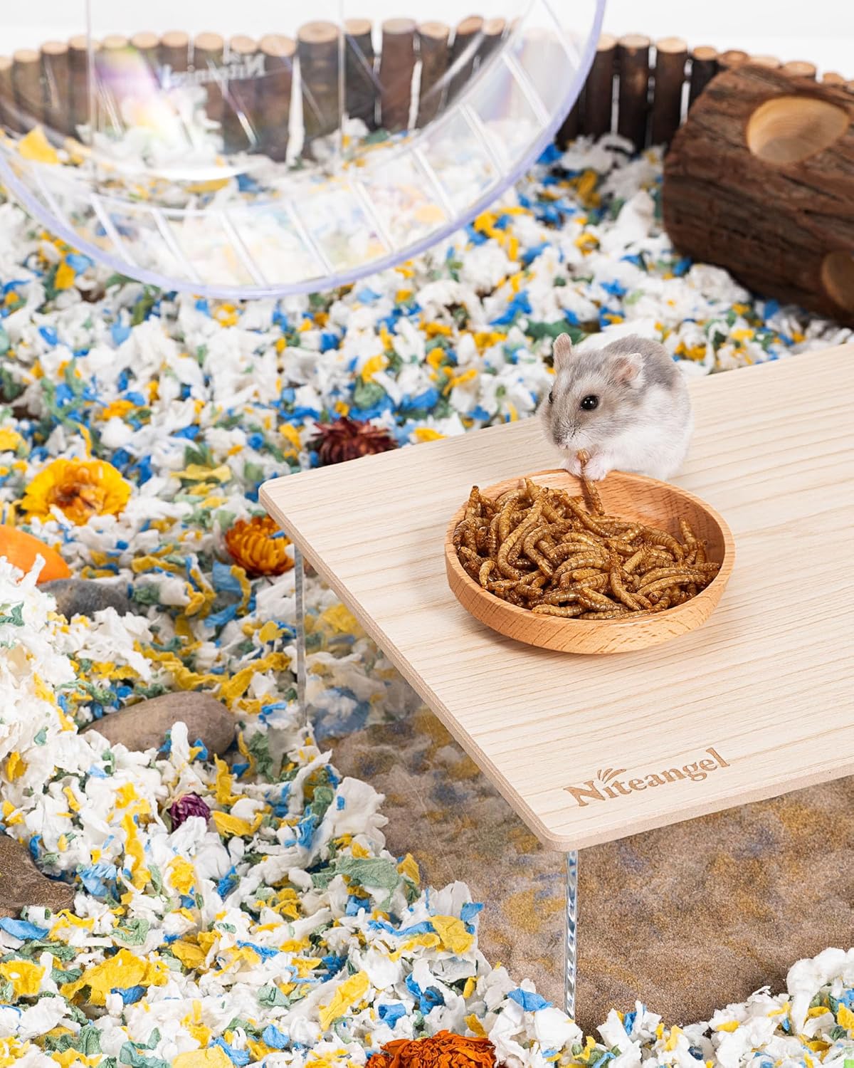 Cibo Per Criceti Niteangel - Miscela Gourmet 500g - Per Criceti Dorati E Nani - Foto 3