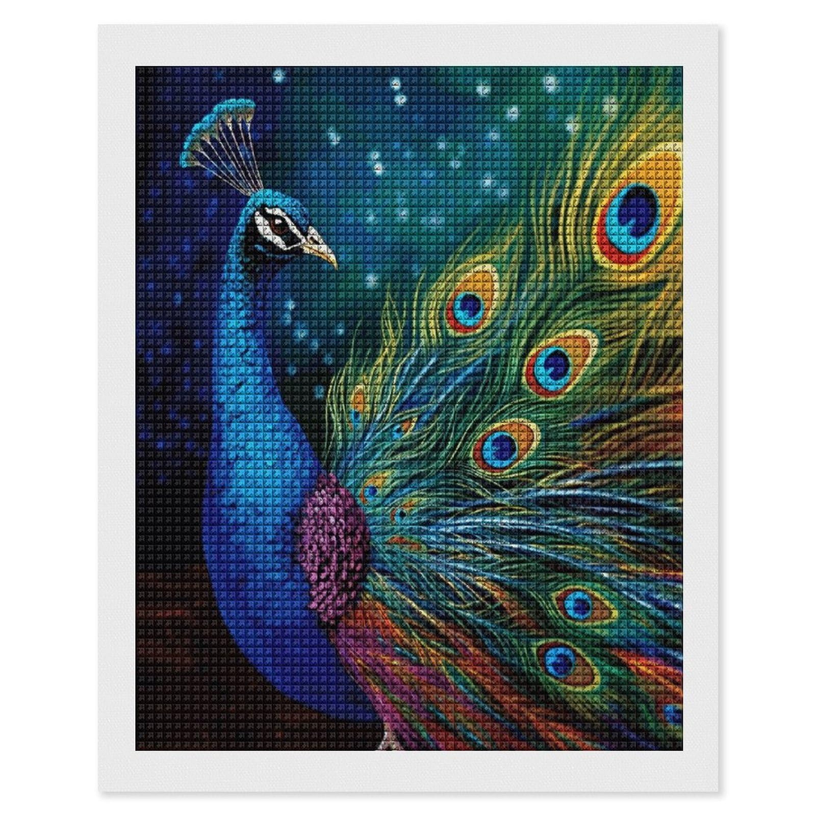 FodPand Colored Peacock Diamond Painting Kit for Beginner Fun 5D DIY Crafts for Adults Diamond Art Kits Square Diamond Art Canvas Painting Gem Art Crafts for Home Wall Decor 16"x20"