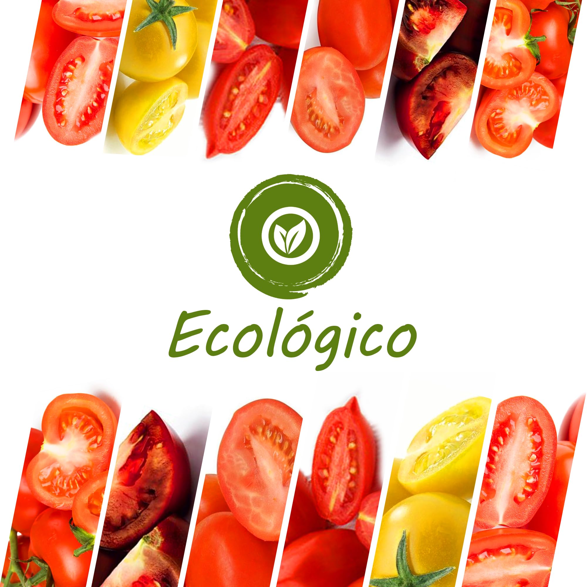 TORAF set de semillas de hortalizas 61pack, kit semillas huerto semillas ecologicas para cocina, balcón y jardín, remolacha, calabacín, judías, perejil, zanahoria, sandía, rábano, tomates owngrown