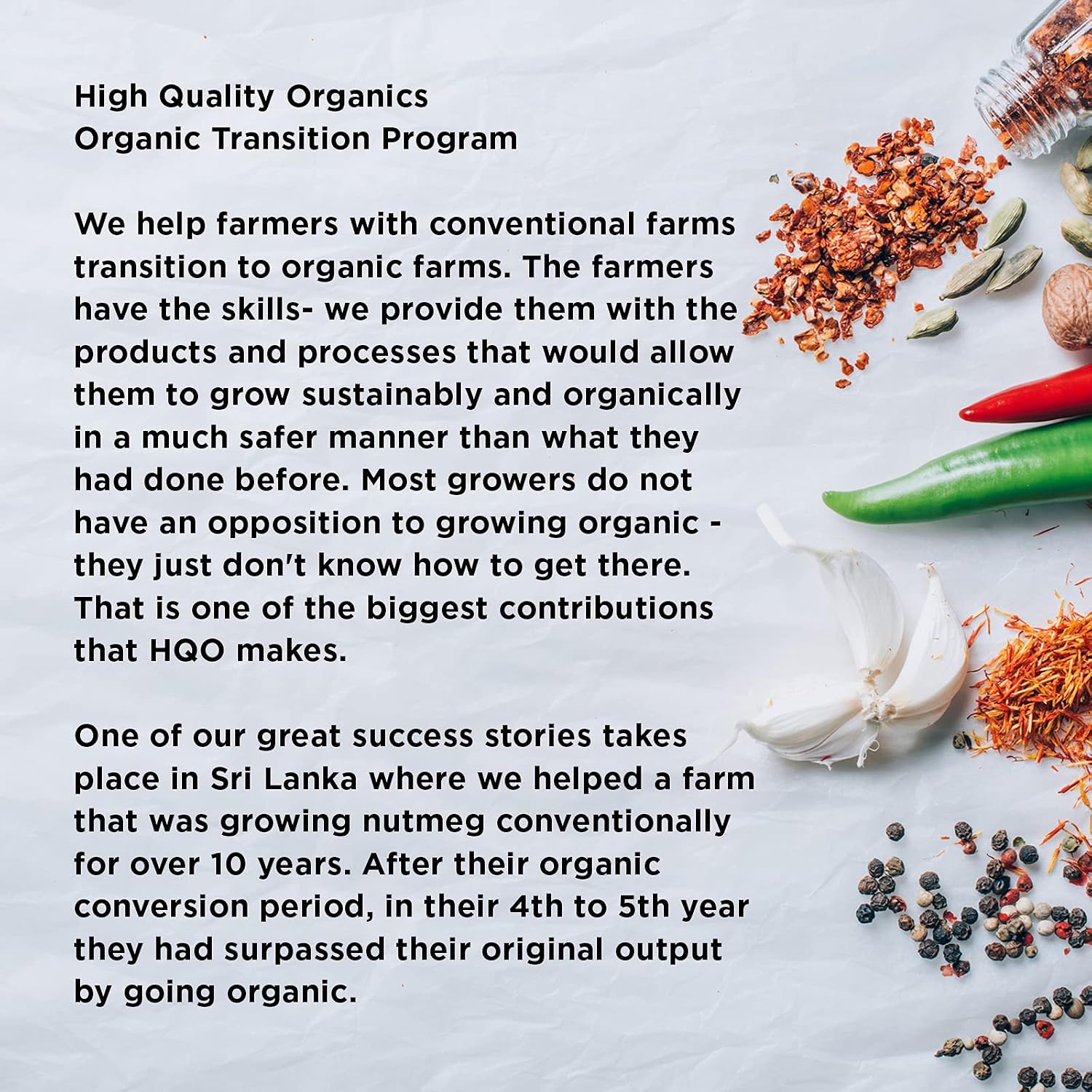 HQOExpress Organic Beetroot Powder - Organic Superfood - Nitric Oxide Booster - Non-GMO - Kosher - Sustainably Grown - 17oz Bag