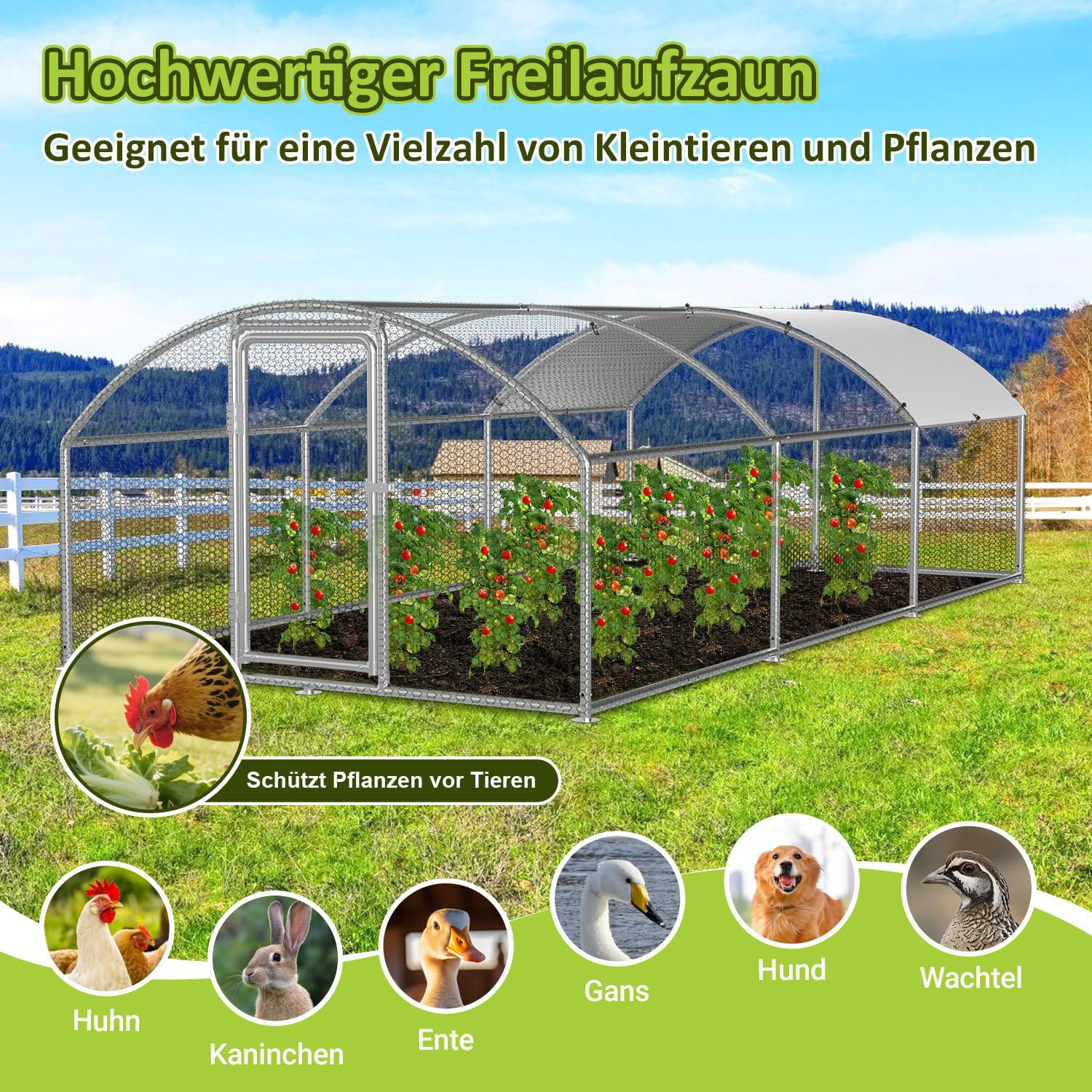Gallinero de 3 x 6 x 2 m, recinto para gallinas, gallinas, acero galvanizado, para gallinas, caseta de conejo, cúpula, tejado, ganso, palomas y codornices, recinto de metal con red
