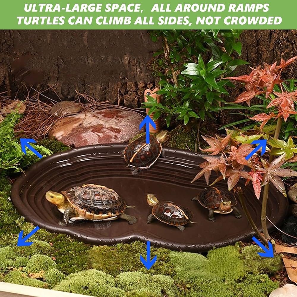 Small Pond Tub 3pcs Tortoise Water Dish With Rap Turtle