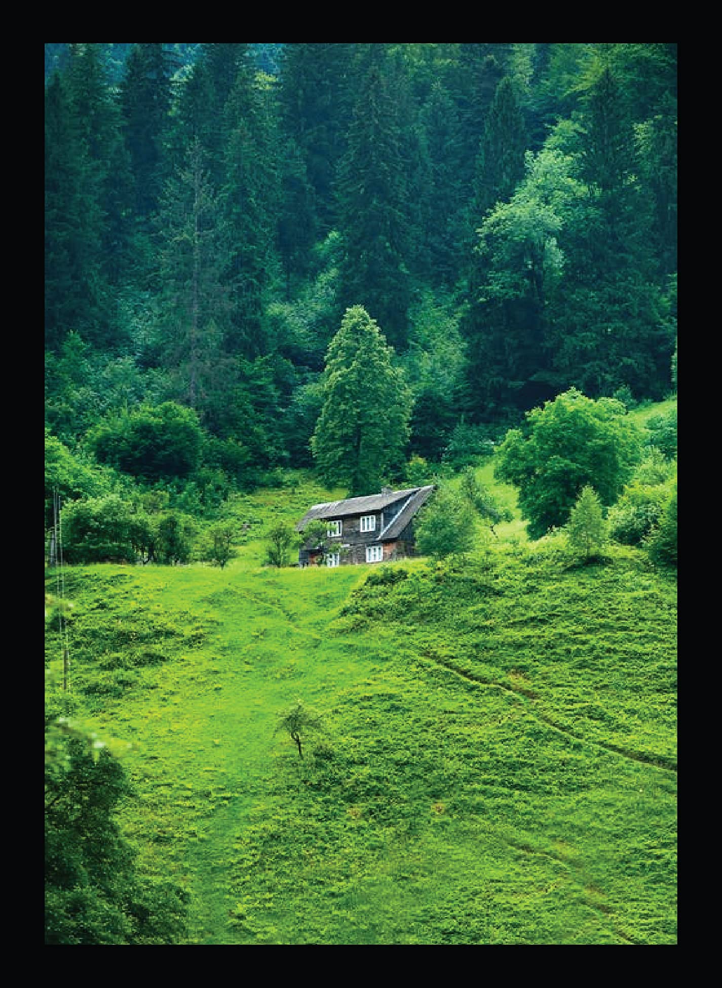 BIRD'S MIND Synthetic Wood Wall Hanging Scenery Nature Photo