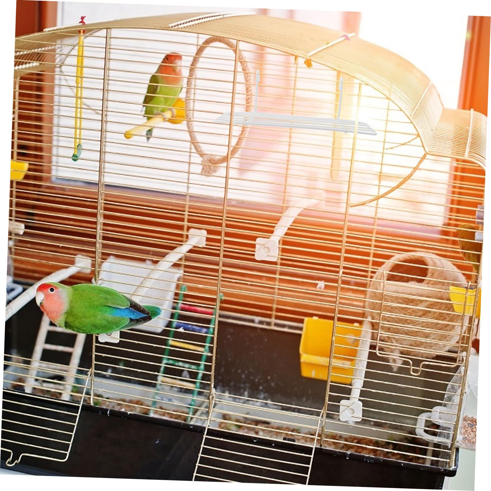 Toddmomy 2Pcs Wire Photo Wall Tray with Wall Hanging Accessories Bird Perch Platform for Parrots Interesting Bird Supply for Cage Decor