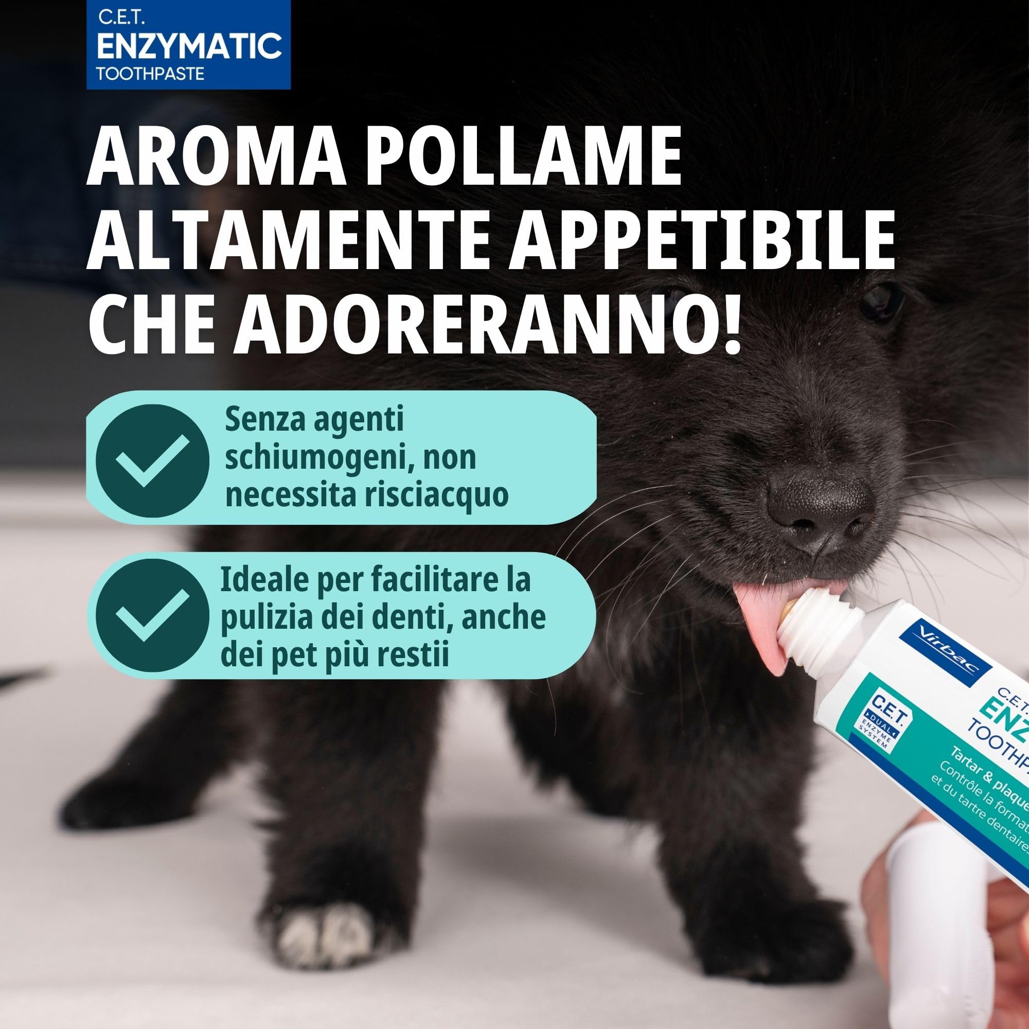 Dentifricio kit per cani