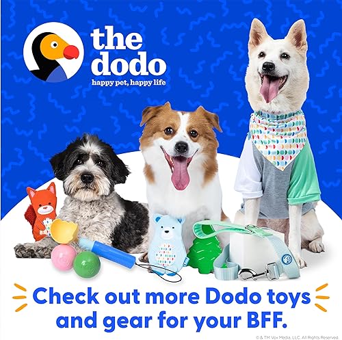 Miniatura 7 de The Dodo Juego de collar y correa amarillo de nailon, mediano bonito juego de correa y collar a juego juego de correa y collar impermeable para