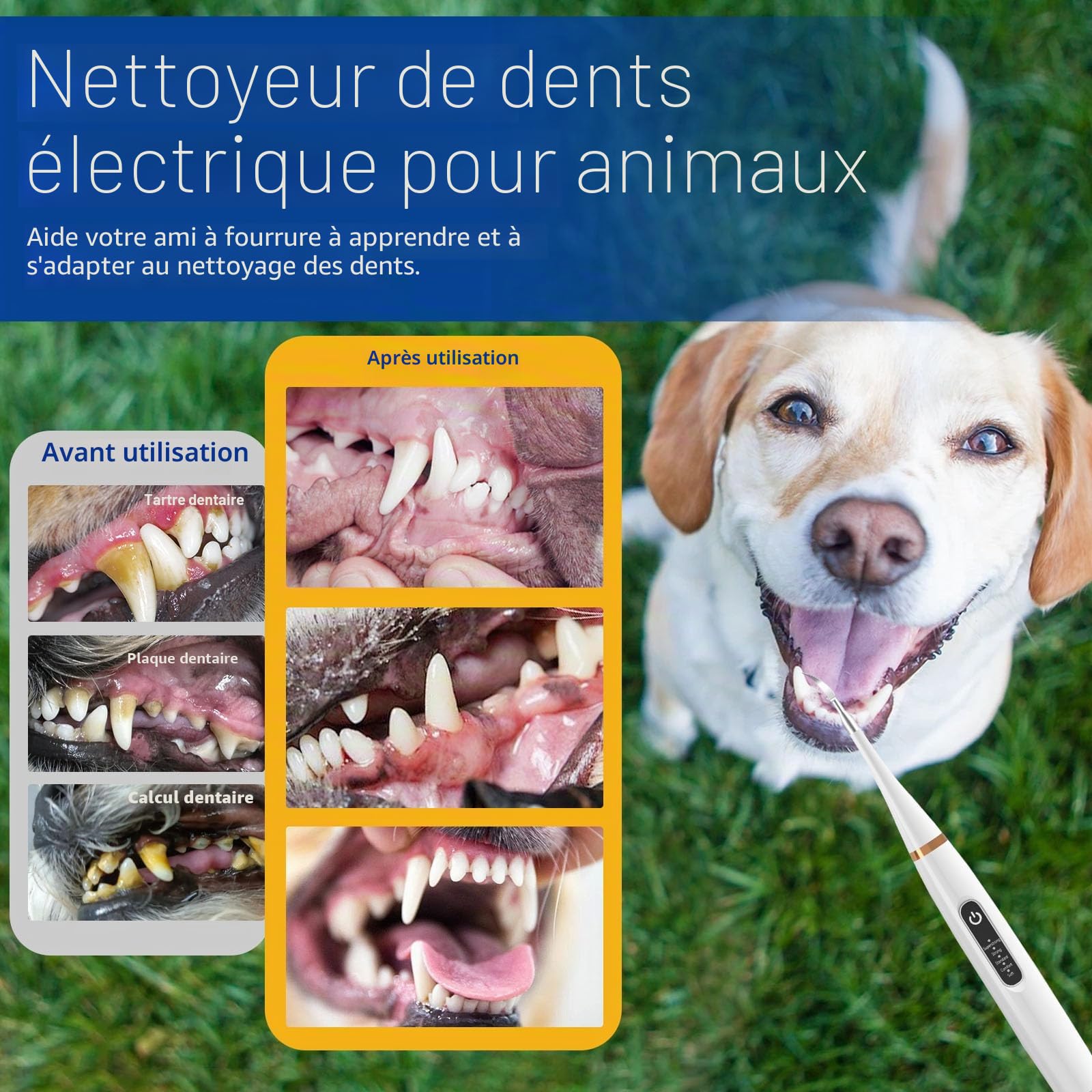 Kit de Nettoyage des Dents de Chien pour tartre et plaque dentaire, Brosses à Dents pour Chiens et Chats Tartre Dentaire Nettoyage, Kit Detartrage Dentaire Pour Nettoyer les Dents des Chiens et Chat