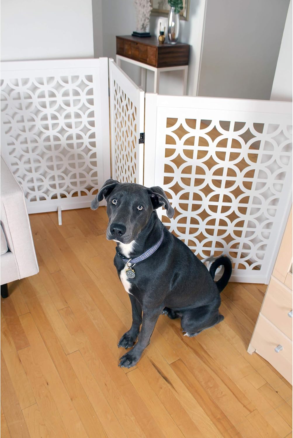 Flаѕh Sаlе Primetime Petz 33506-G19 Palm Springs Designer Gate,Palm Springs,35